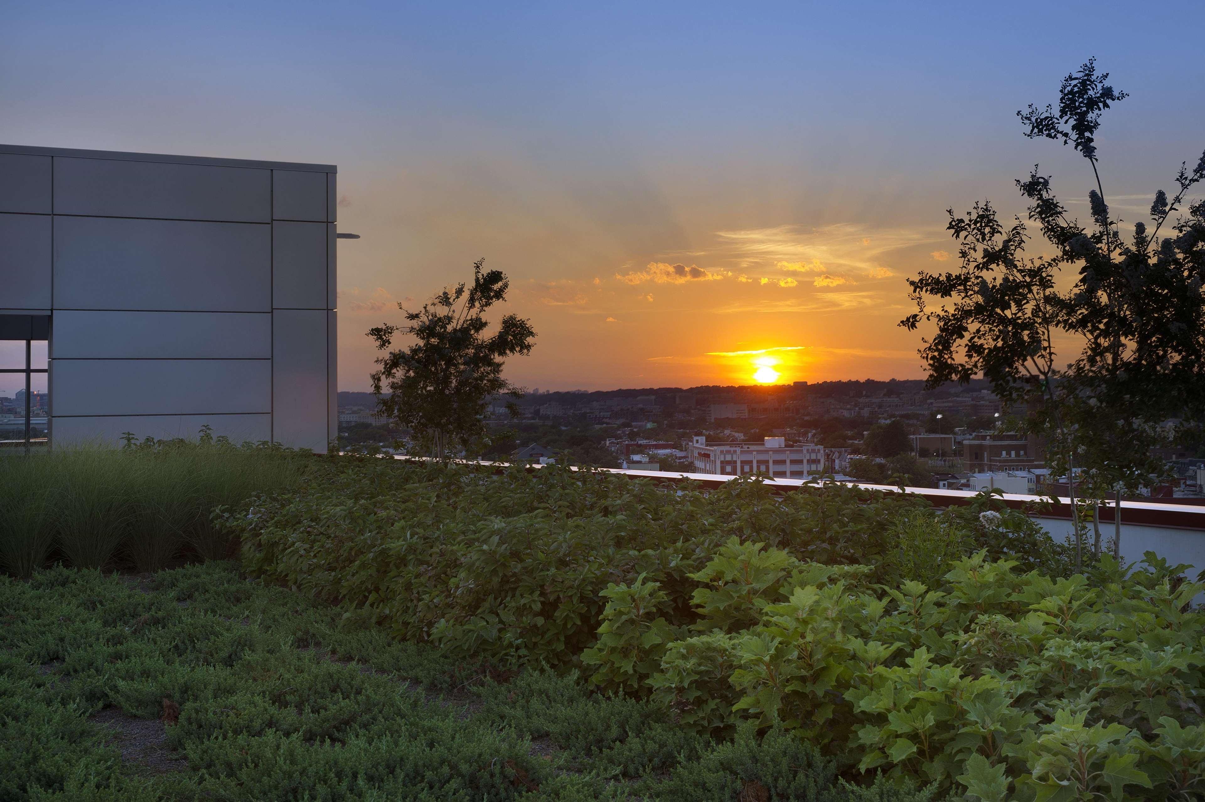 Hotel Homewood By Hilton Dc Noma Union Station Washington